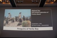 
DSC00090